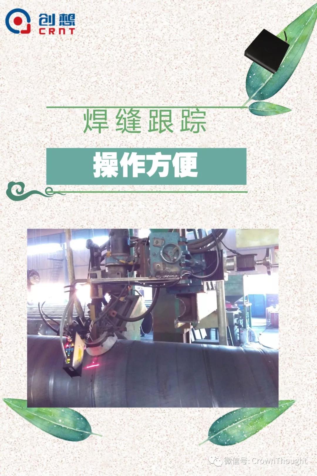 粽叶带来的不仅仅是粽子，还有...