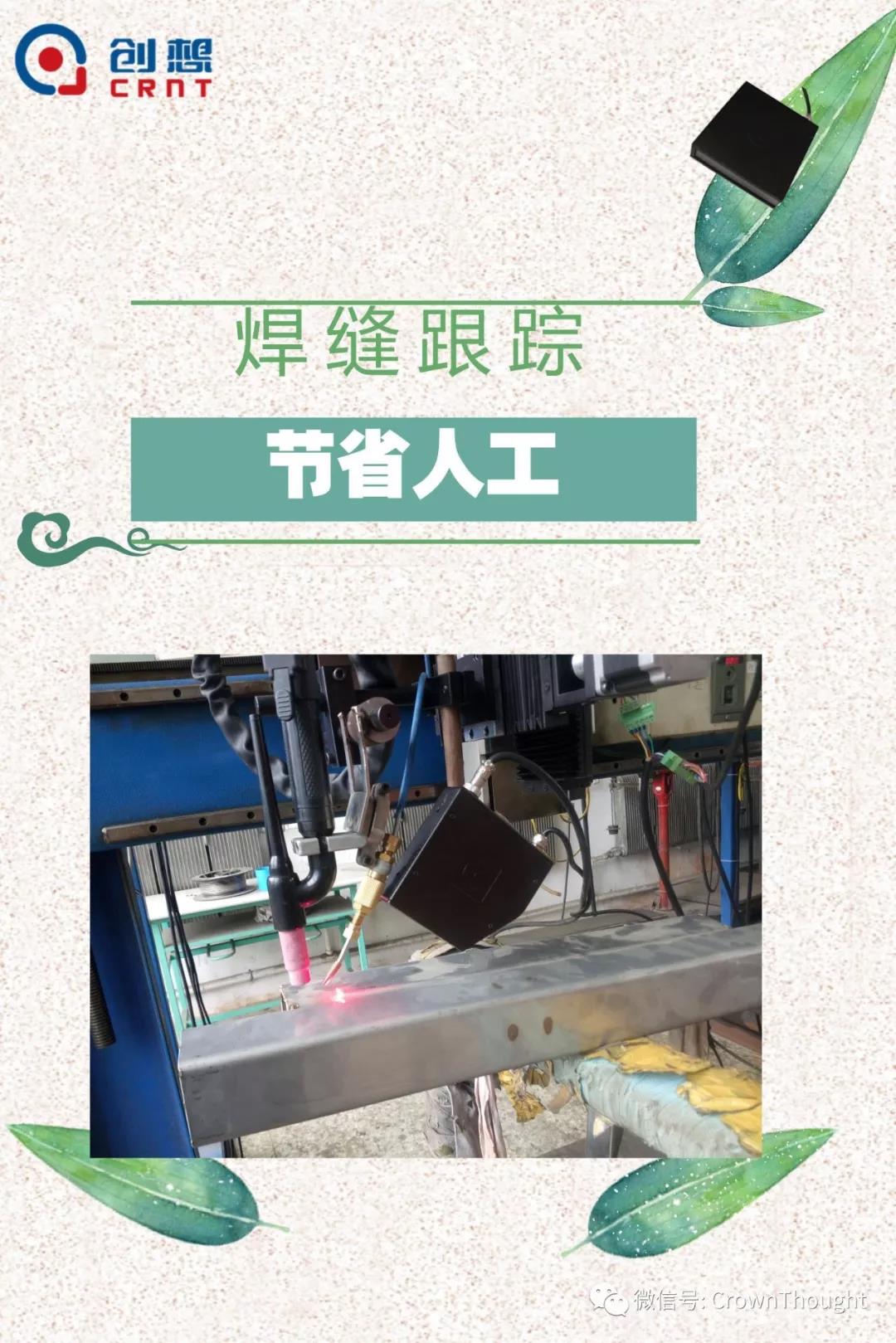 粽叶带来的不仅仅是粽子，还有...