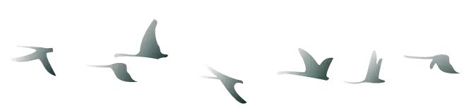 中秋佳节 ▎有态度、有温度， 一份坚守是最诚挚的祝福！